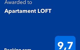 Apartament Loft
